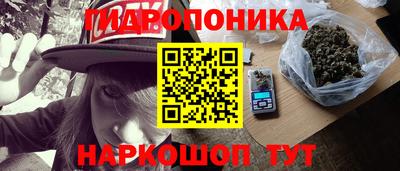 jwh Нальчик