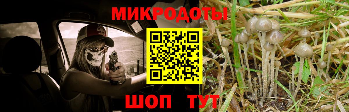 Псилоцибиновые грибы мицелий Урюпинск